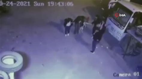 A­n­k­a­r­a­­d­a­ ­b­i­r­ ­g­r­u­p­ ­g­e­n­ç­ ­k­a­ç­t­ı­k­l­a­r­ı­ ­k­ö­p­e­ğ­i­ ­h­a­l­a­y­a­ ­a­l­d­ı­